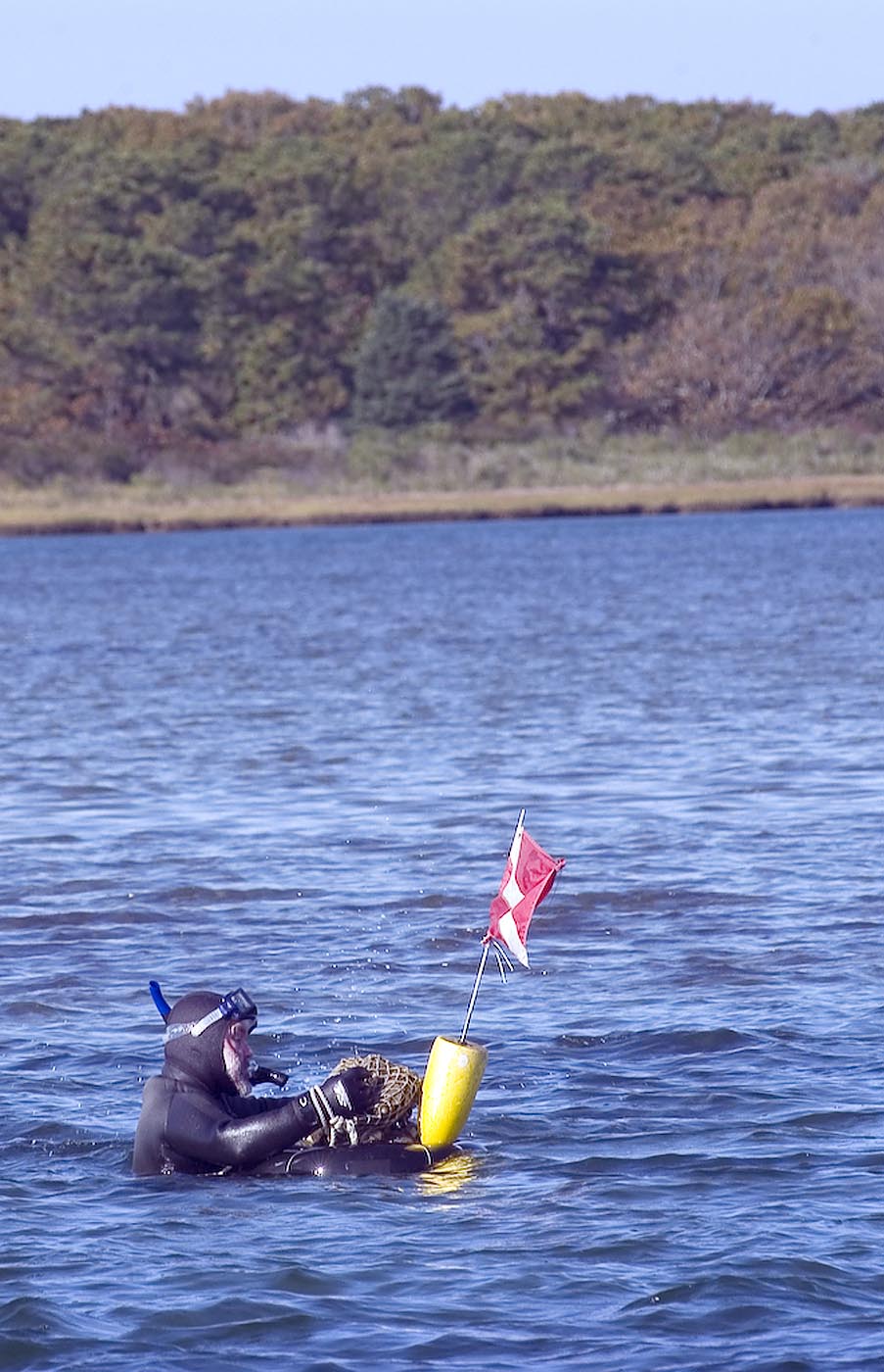diver