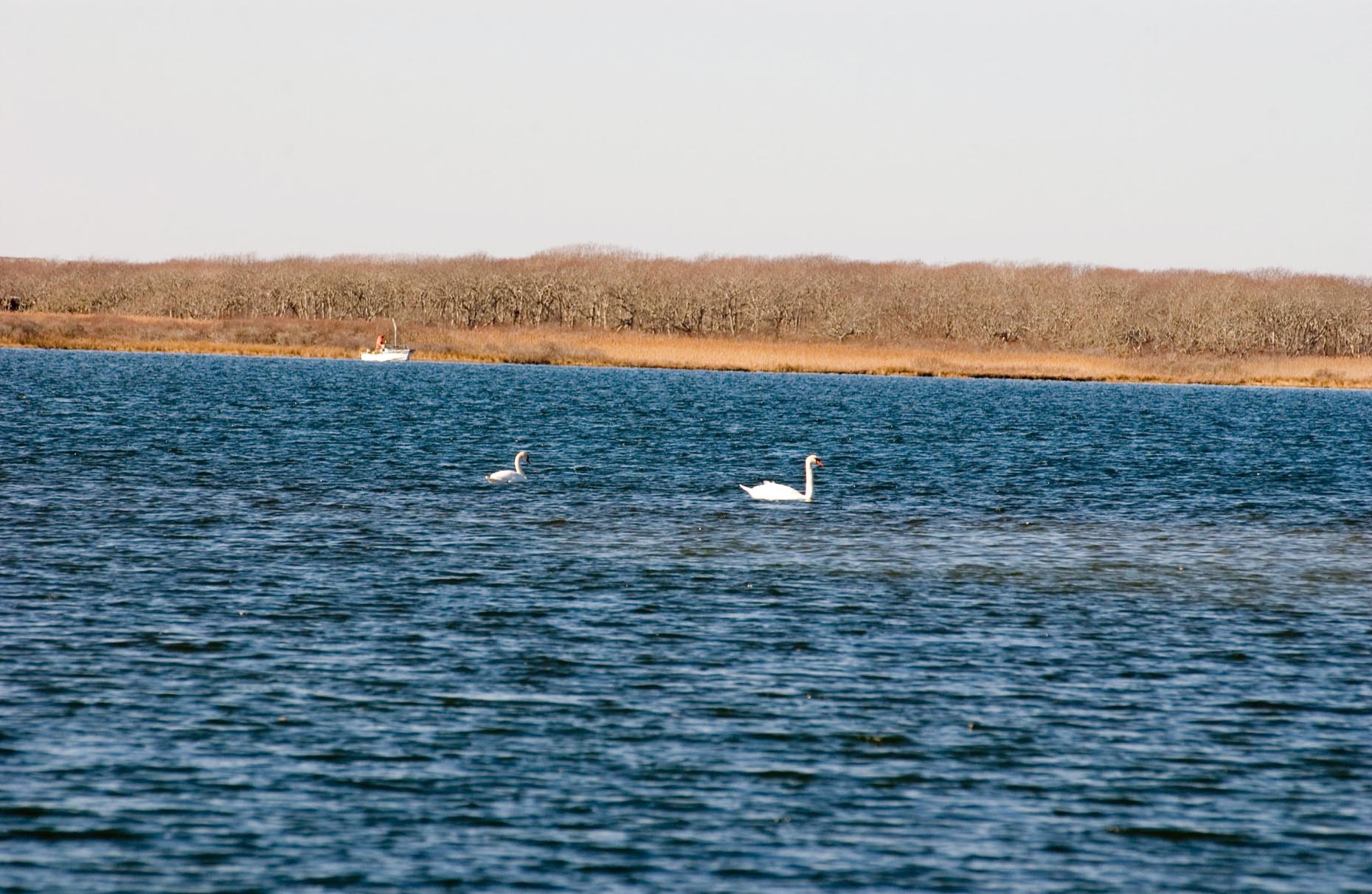 Edgartown Great Pond