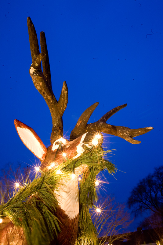 reindeer