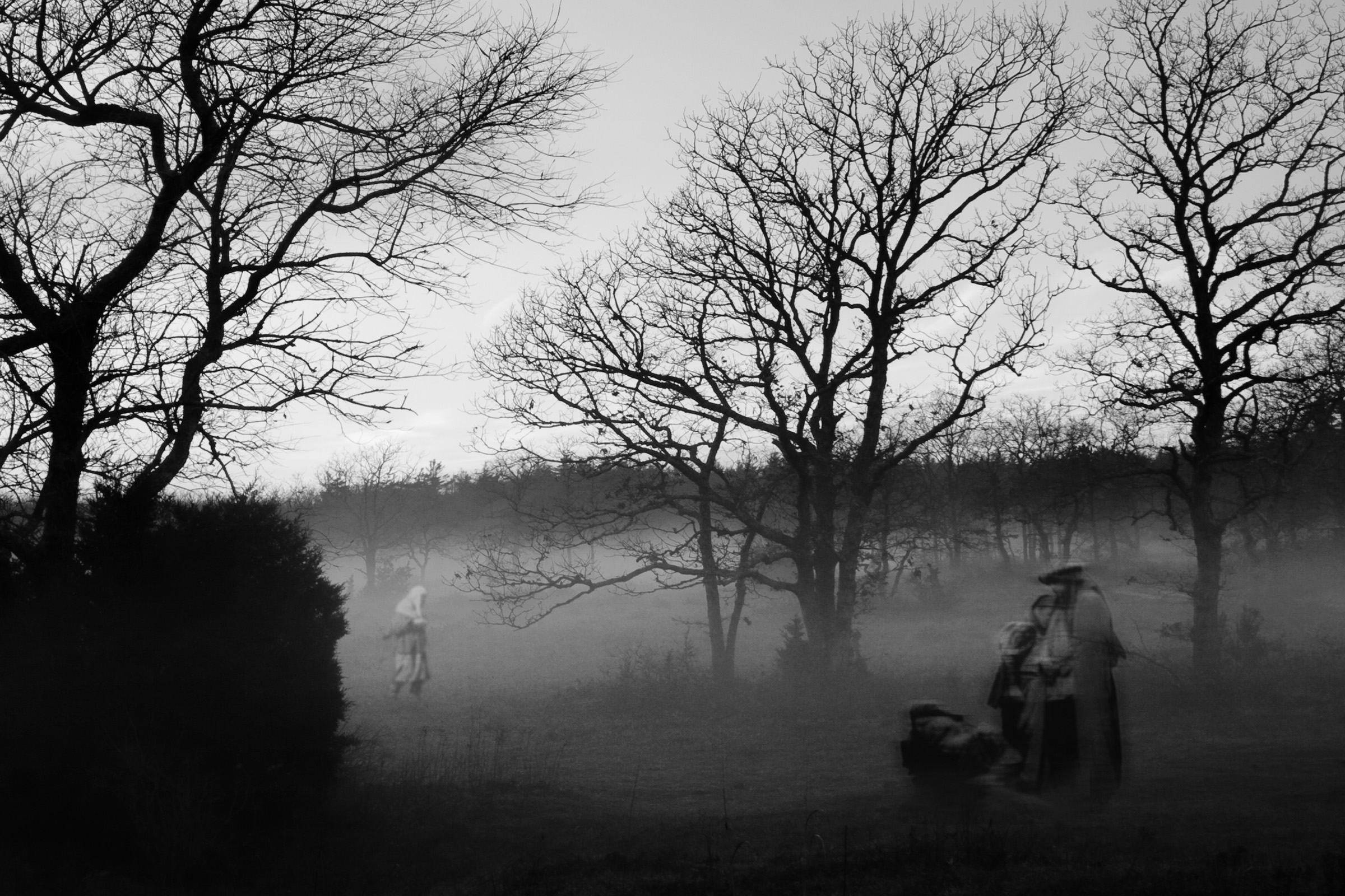 mist