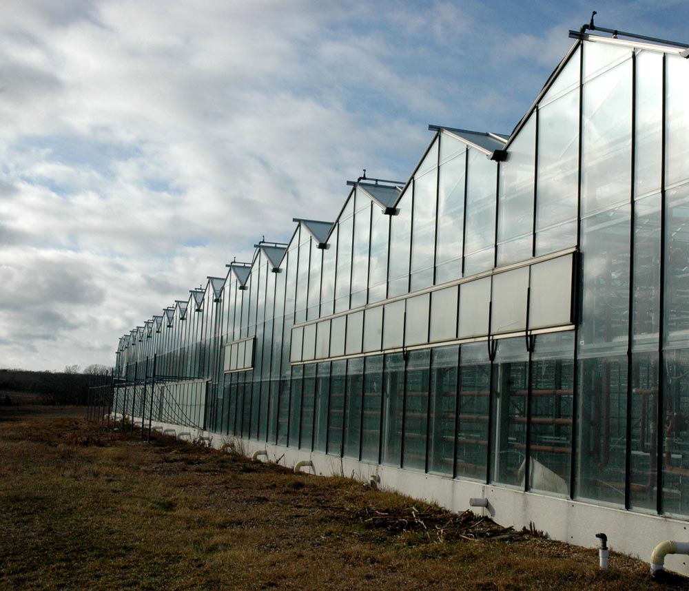 greenhouse