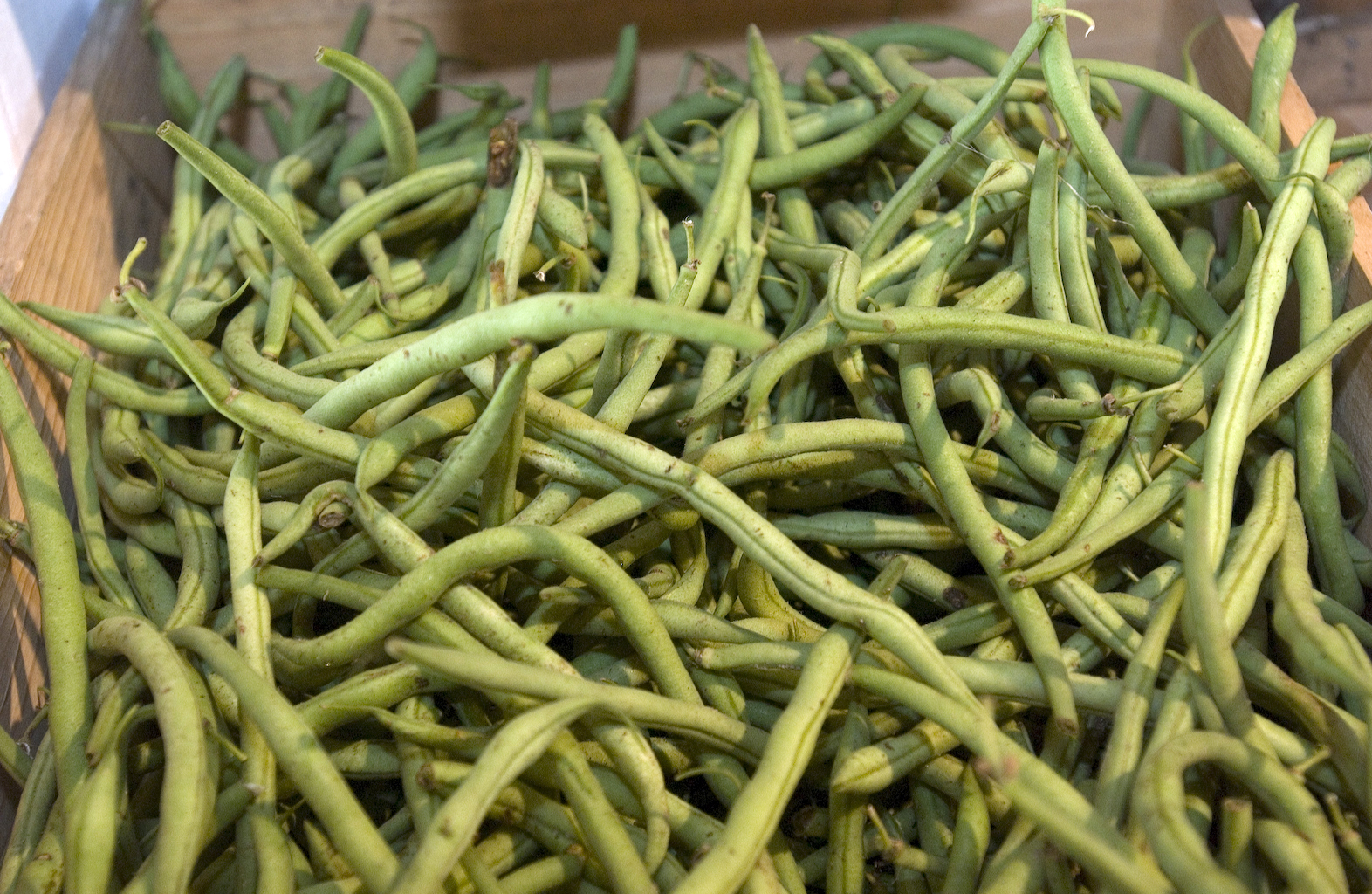 beans