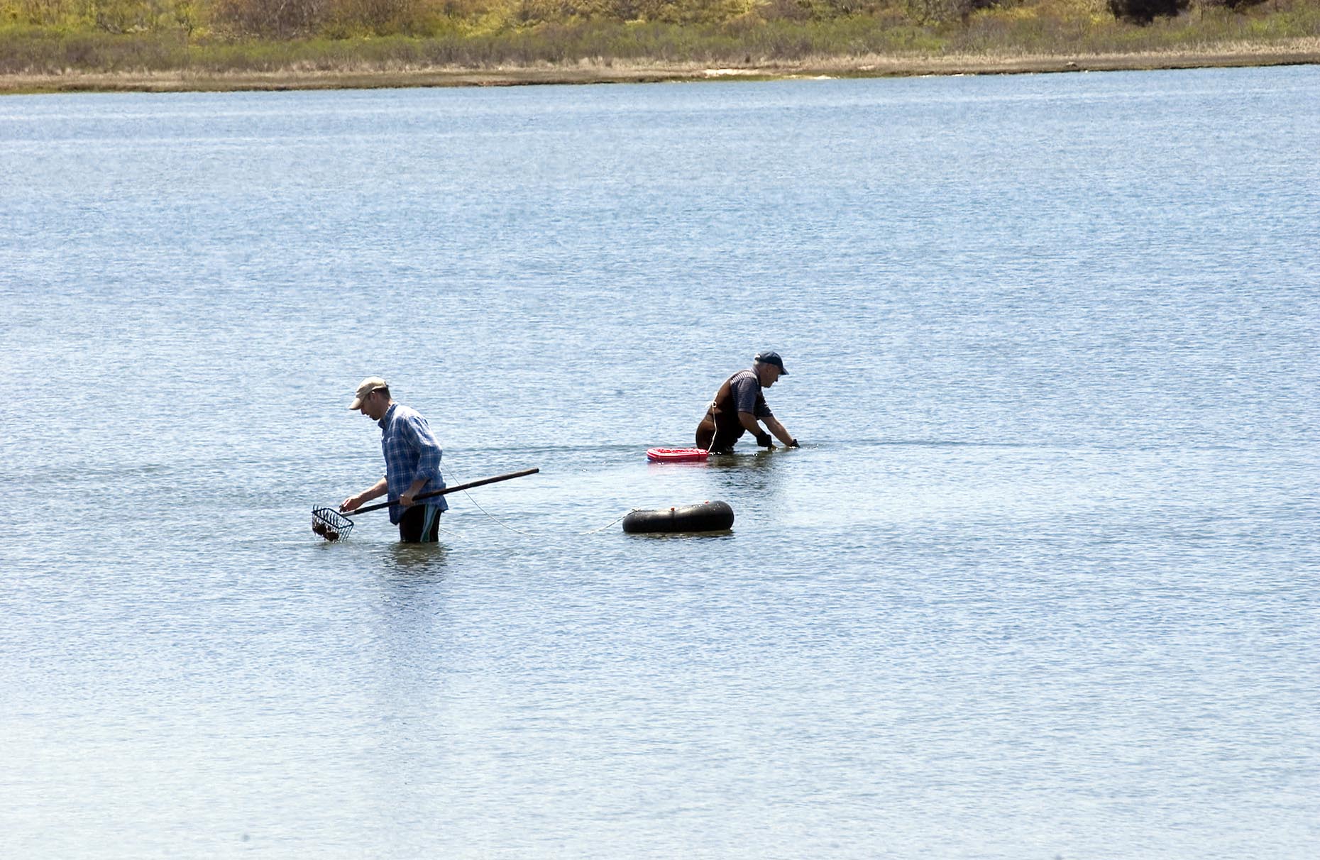 clamming at Senge