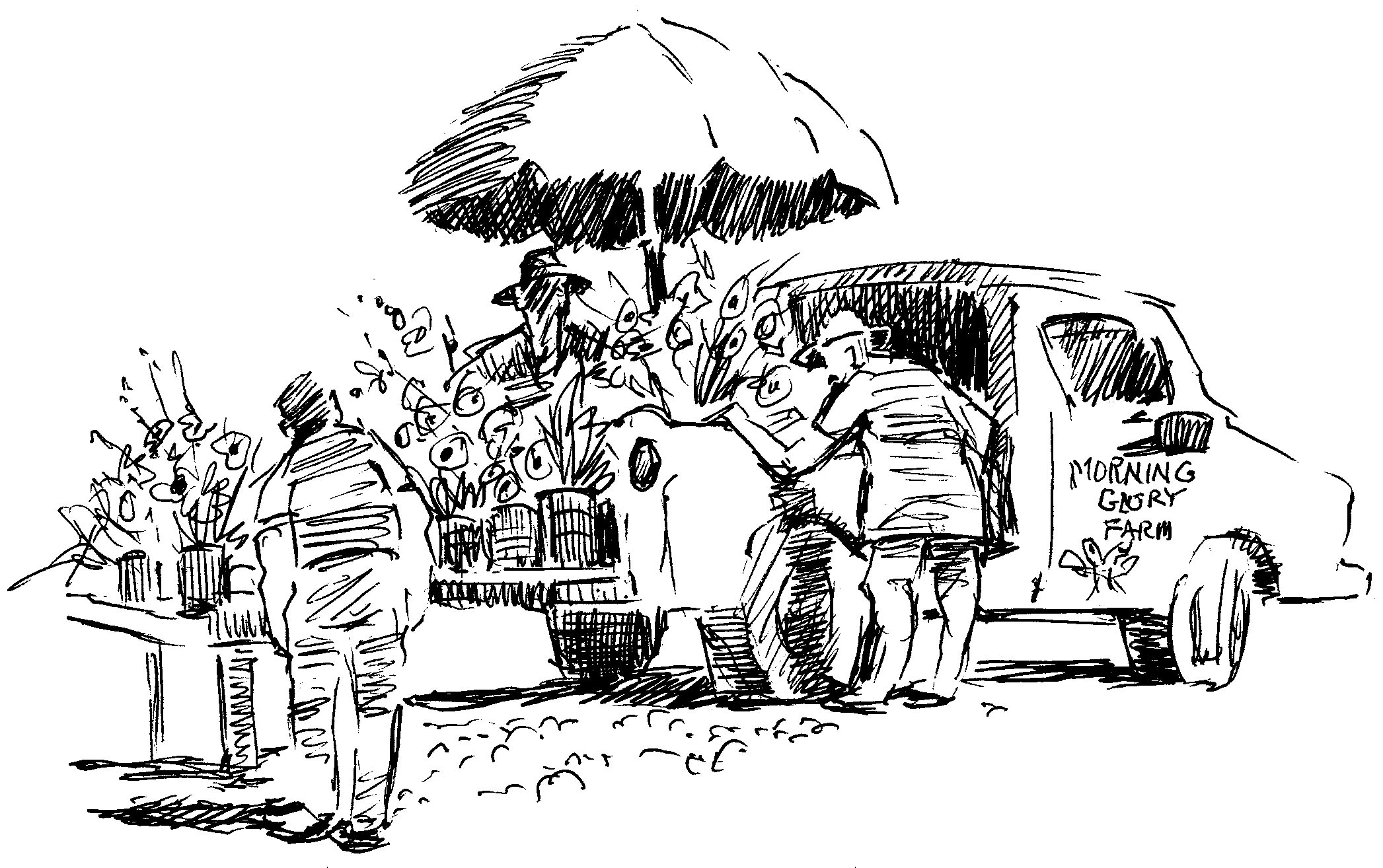 cartoon of Morning Glory Farmstand