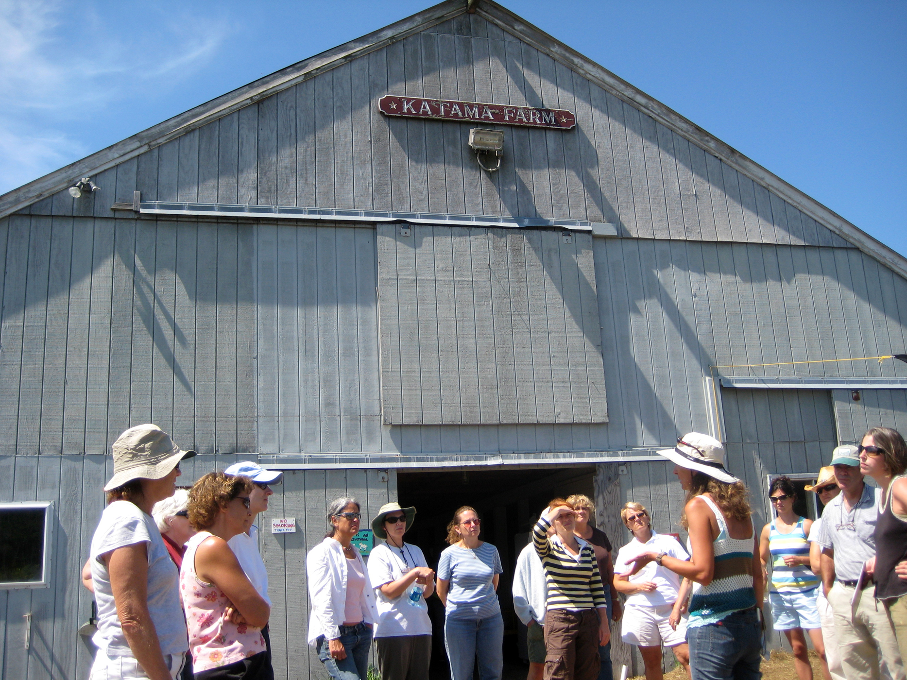 crowd at Katama farm