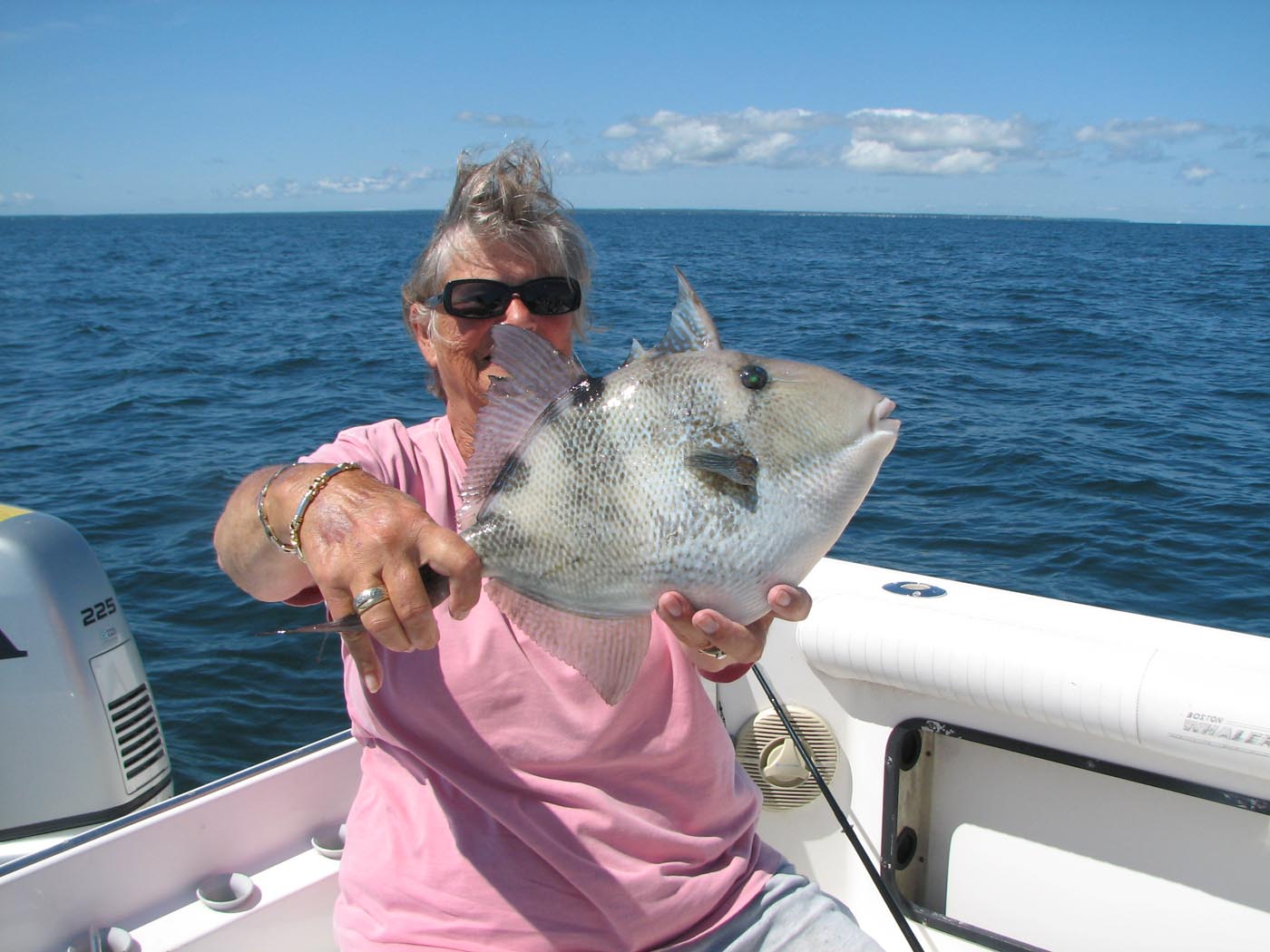 trigger fish
