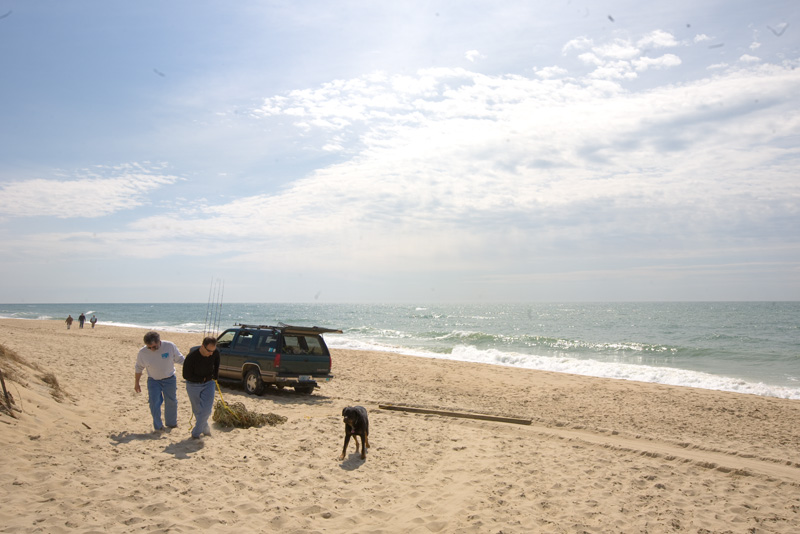 beach