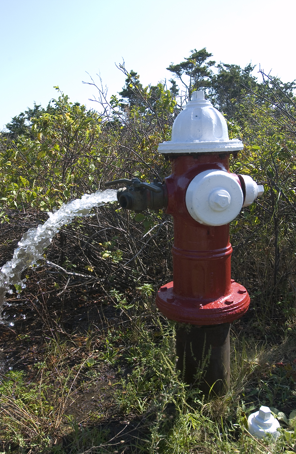 hydrant
