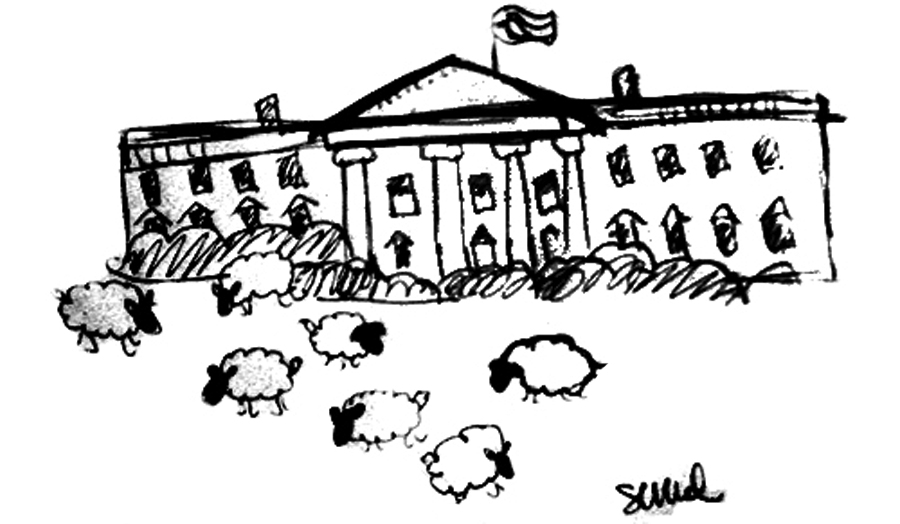 white house