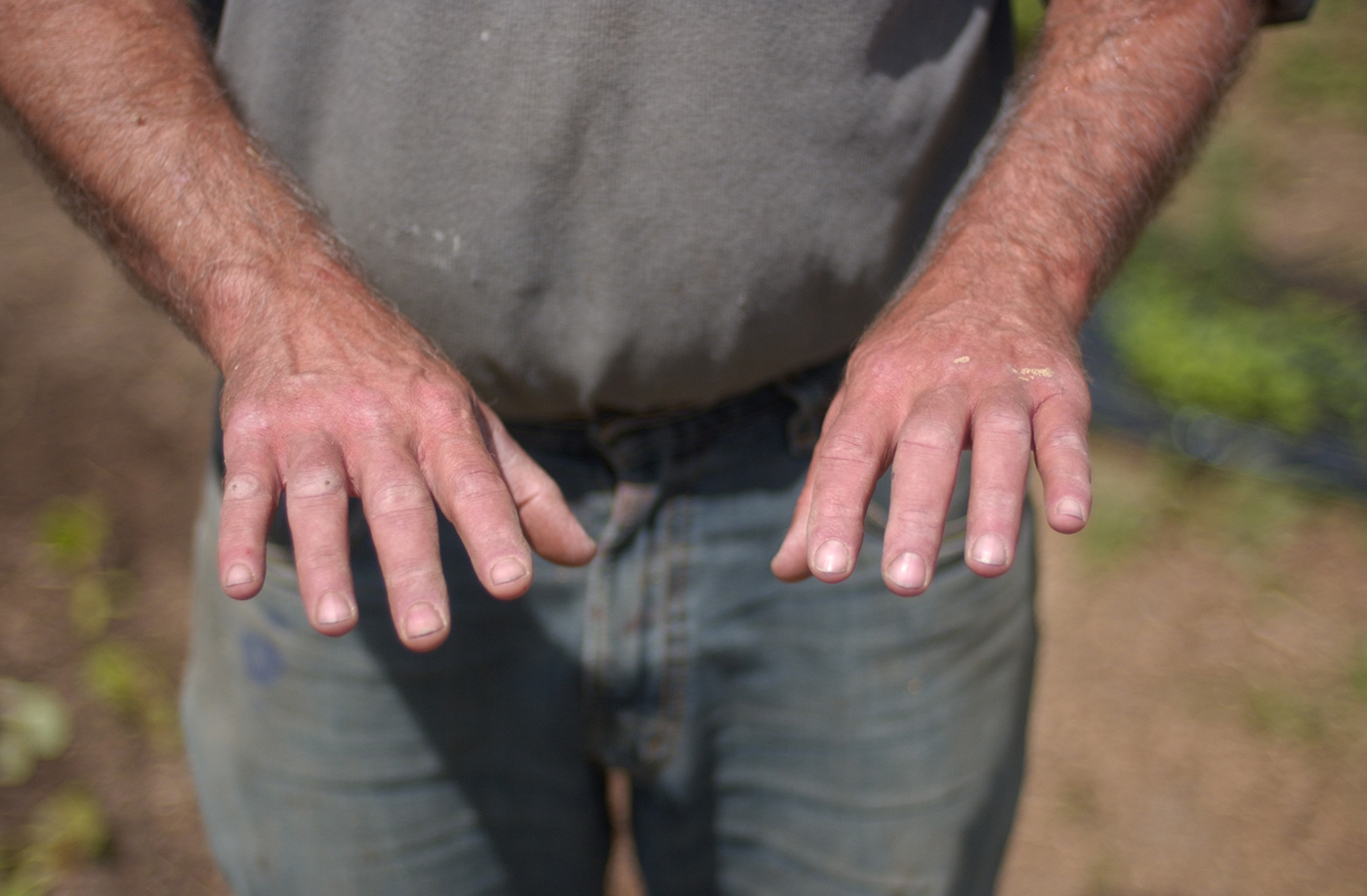 hands