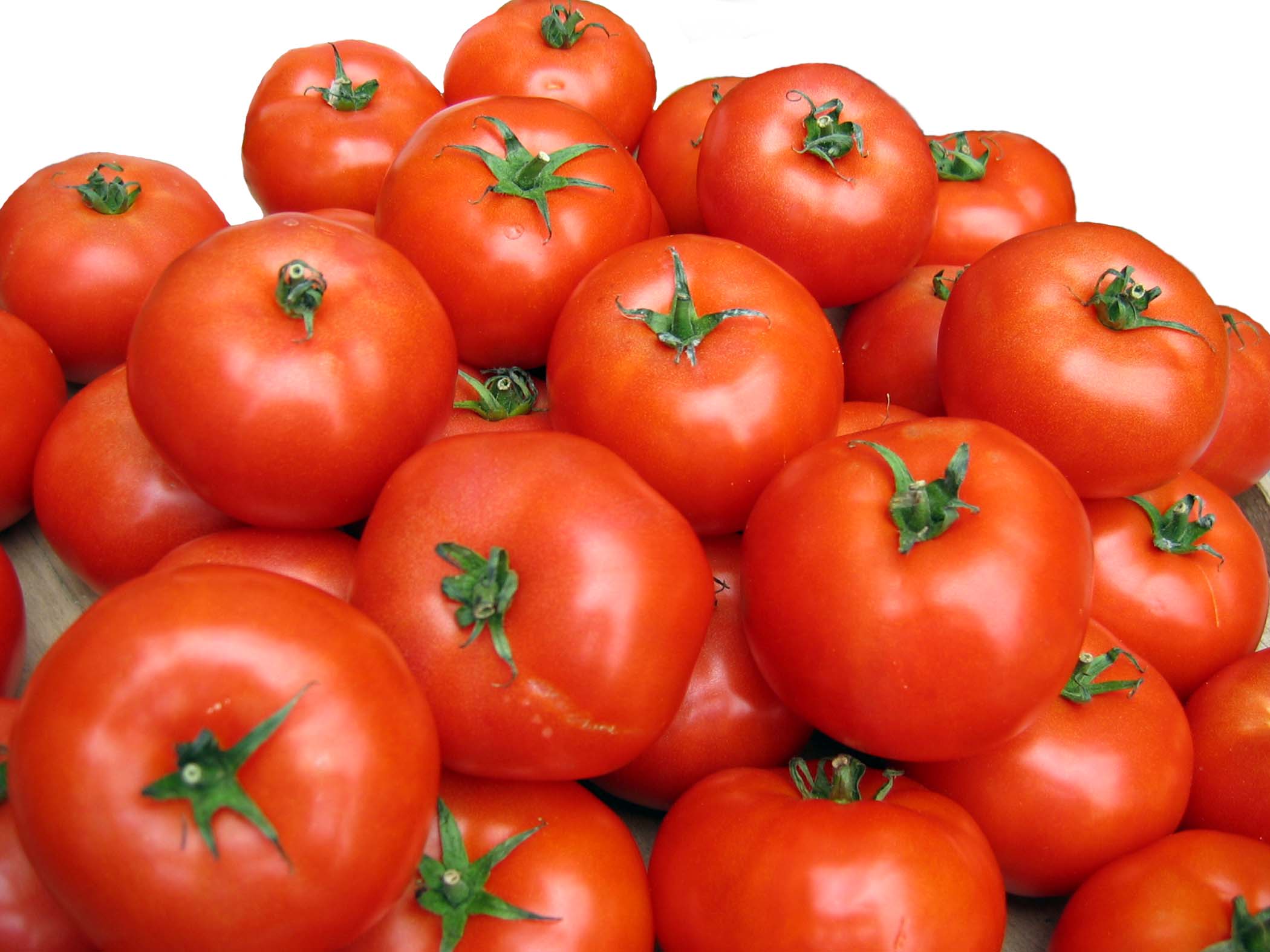 tomatoes