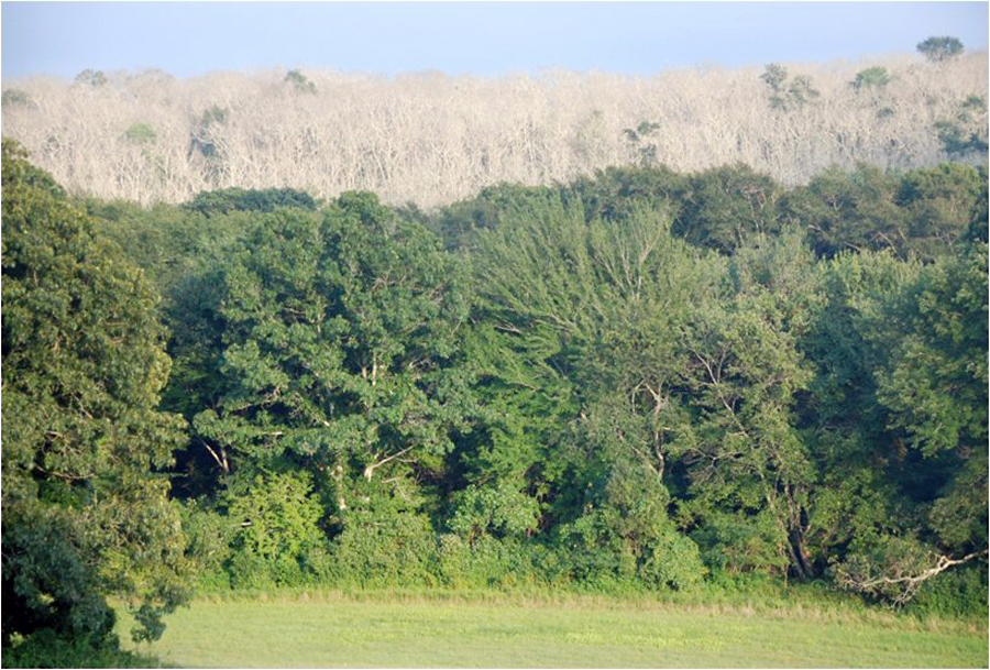 Waskosims Rock moraine