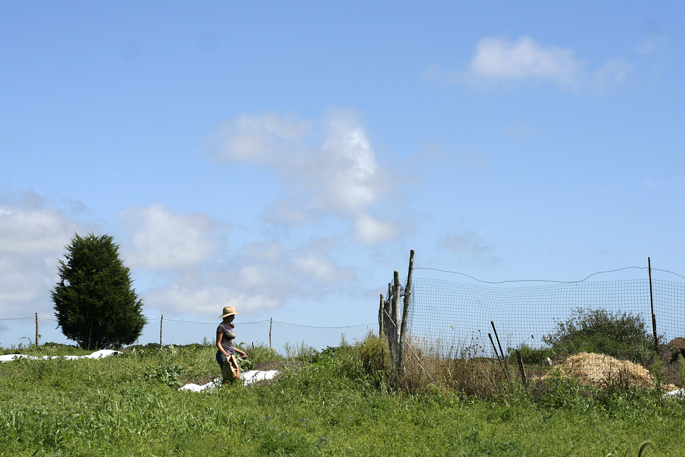 farm view