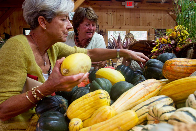 squash