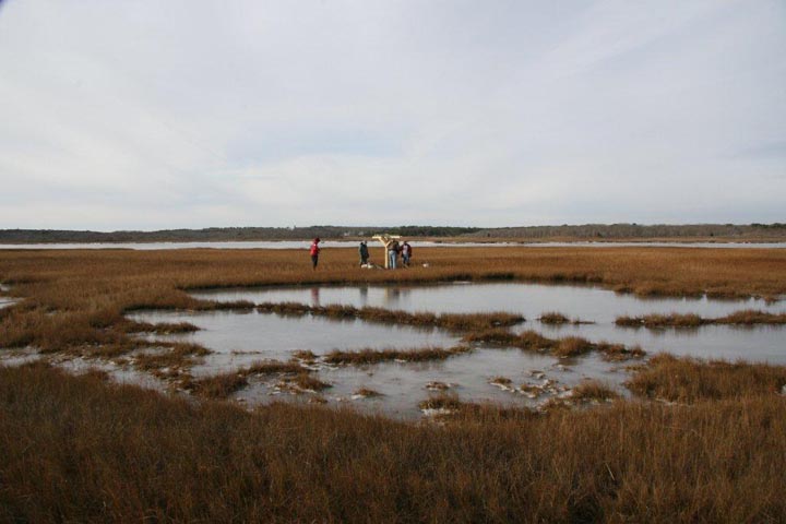 Chappaquiddick