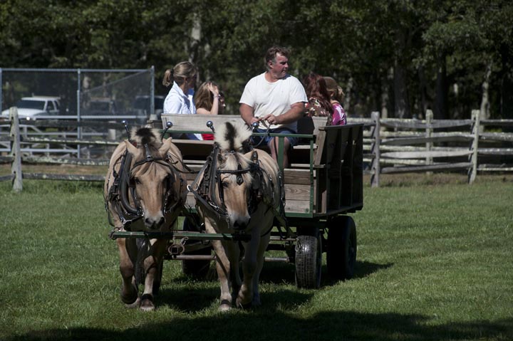 carriage