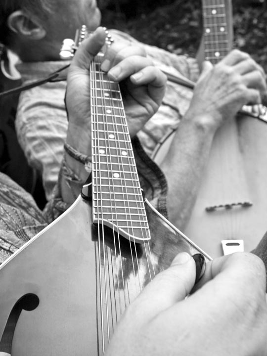 banjo