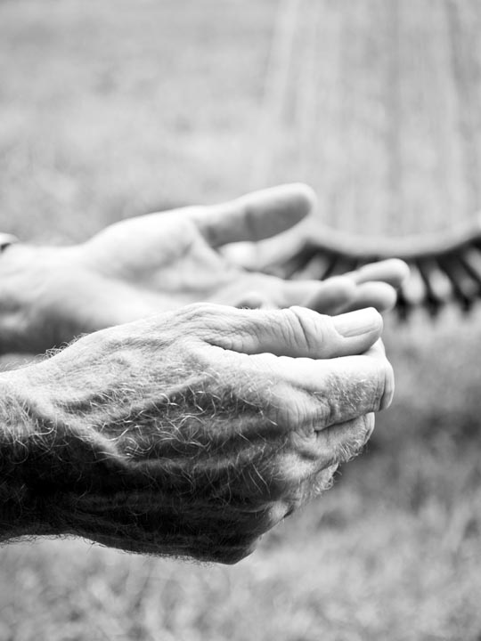 hands