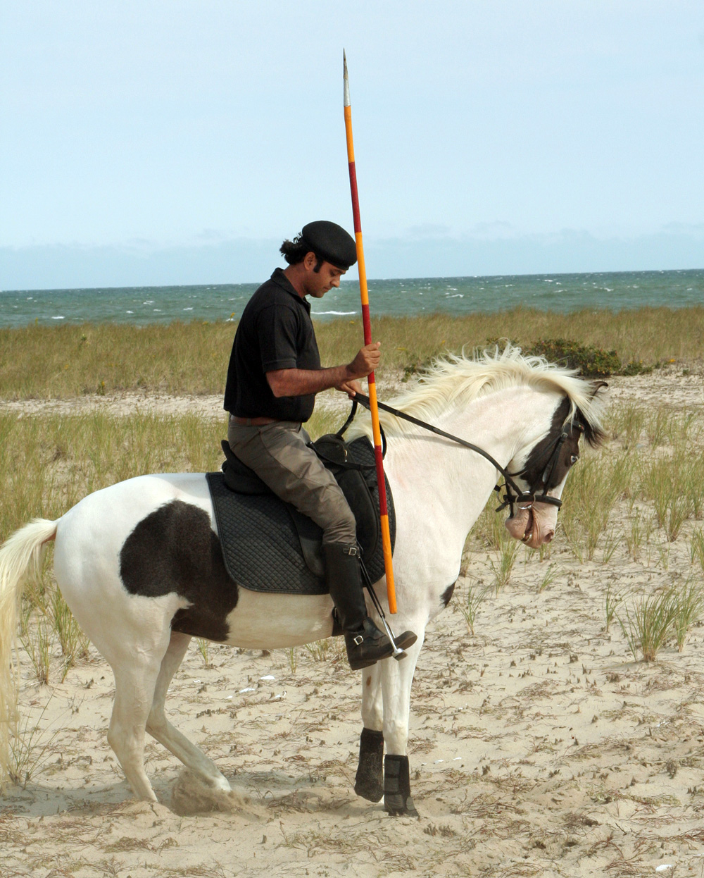 horse