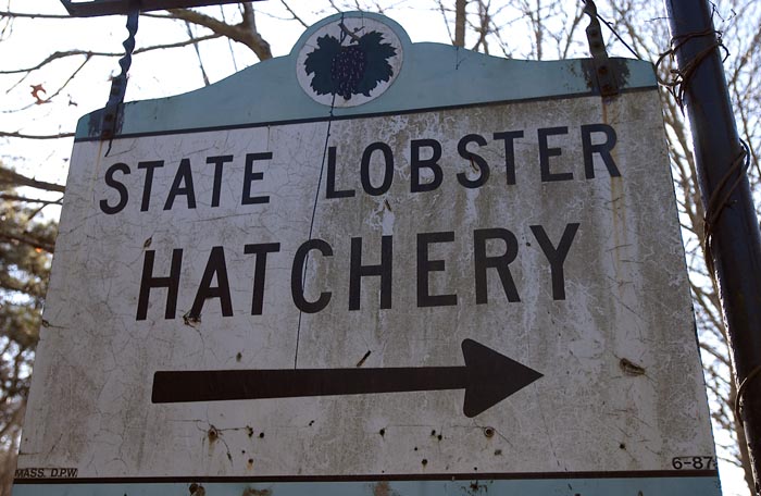 sign