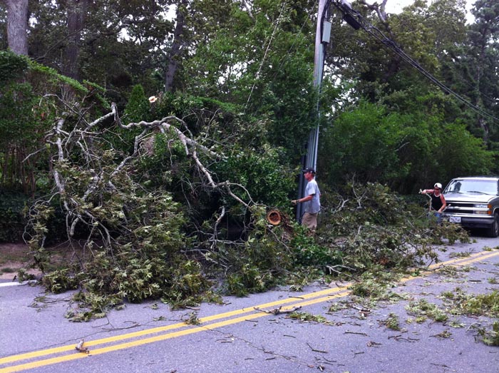 Chris Haggerty tree limb