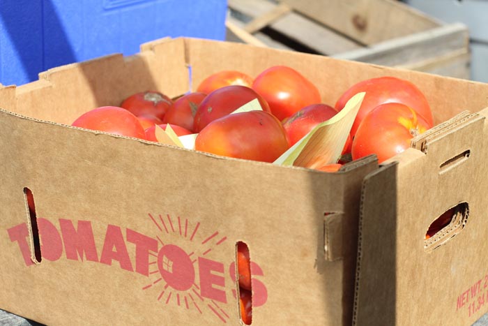 tomatoes