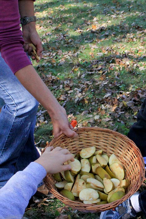 apple slices basket