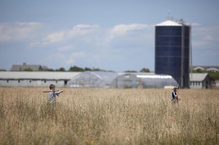 children walking through a farm