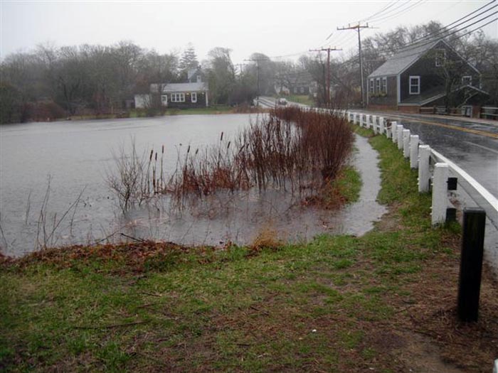 Pond