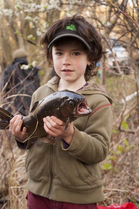 trout