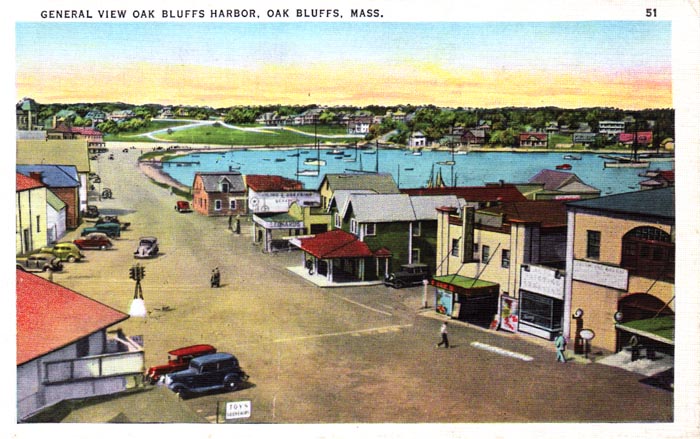 oak bluffs harbor vintage postcard