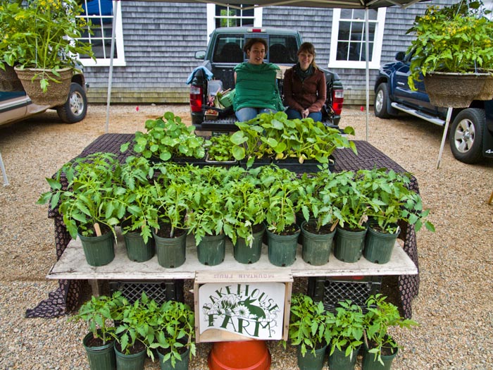 Bakehouse farm stand