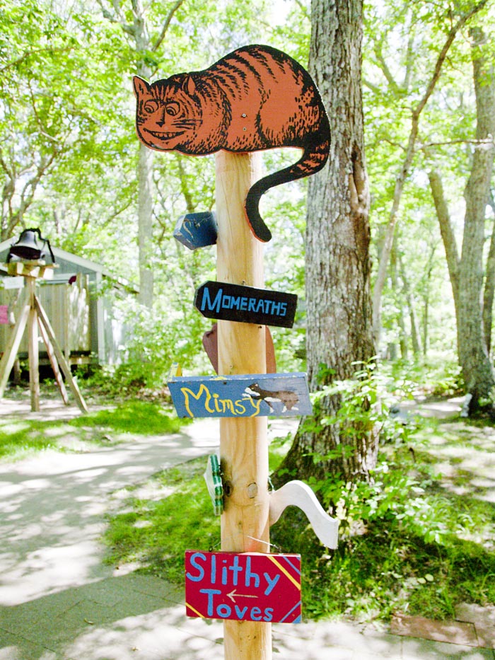 cat signs