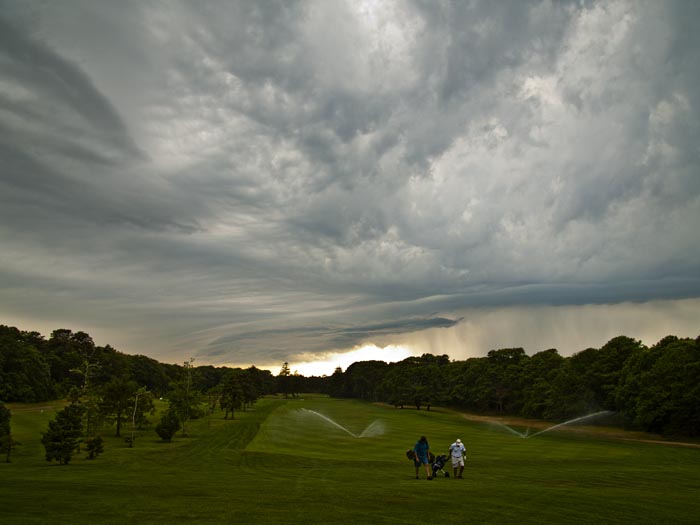 Mink Meadows