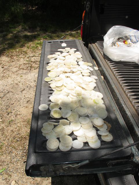 discs