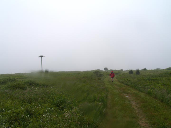 katama point preserve