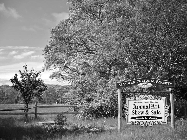 family planning art sale