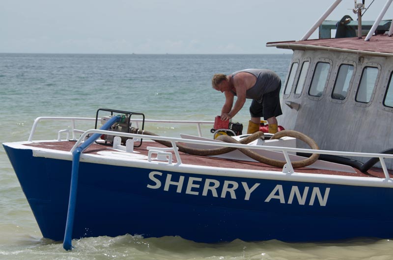 sherry ann