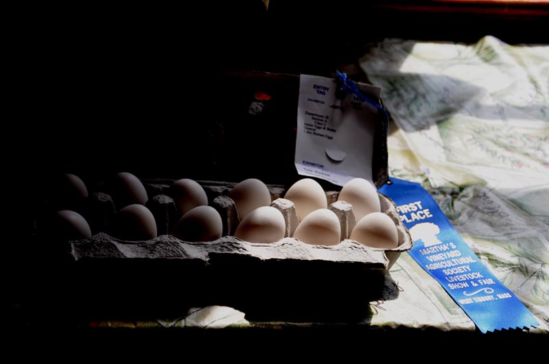 eggs