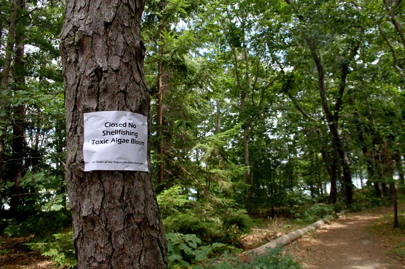 sign