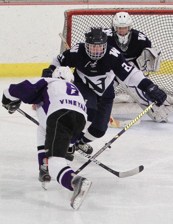 Shay Hill goal hockey rink