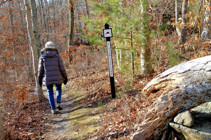 Lee Revere Land Bank Trail