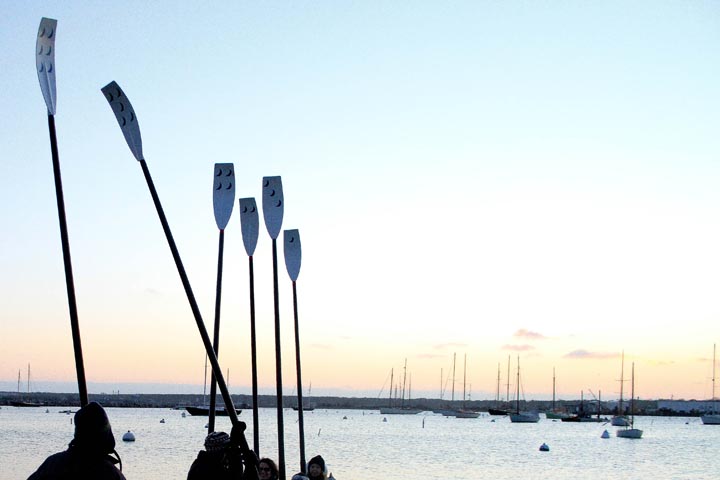 oars morning harbor