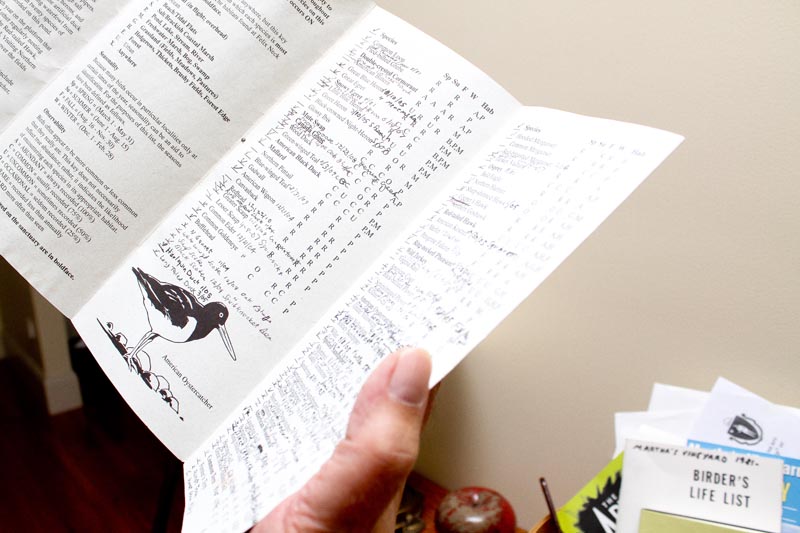 bird list