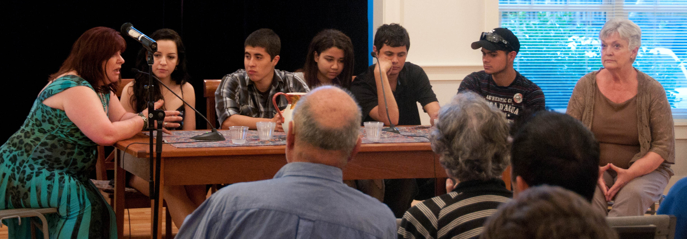 Brazilian Panel