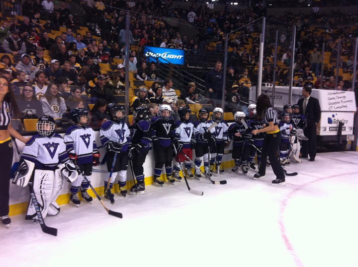 hockey rink fans