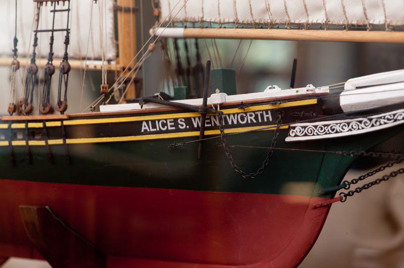 alice wentworth