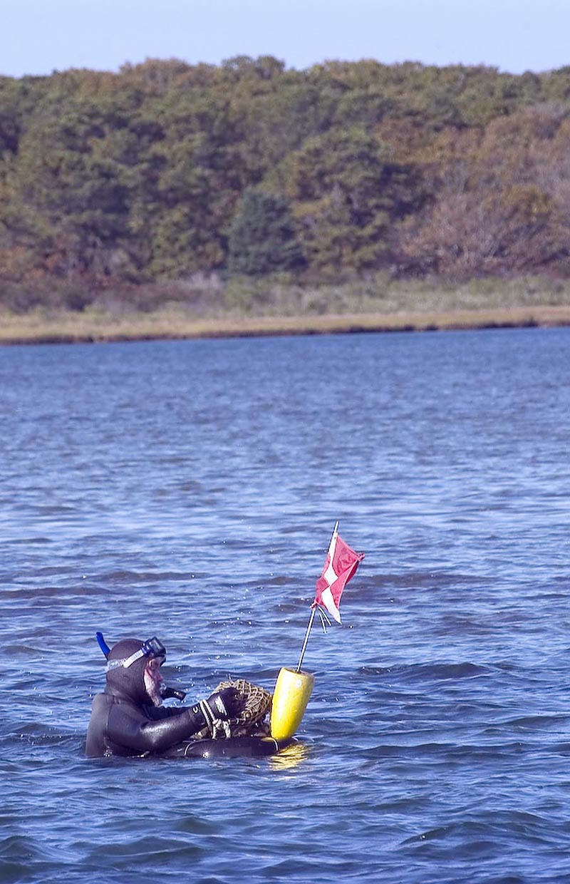 diver