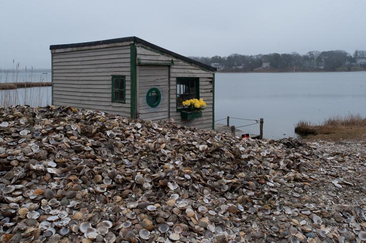 Fish shack