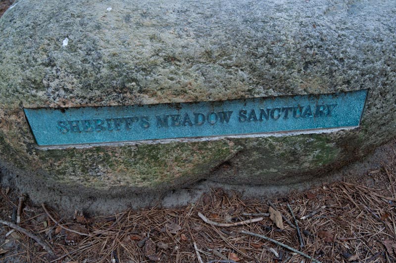 Sheriffs Meadow